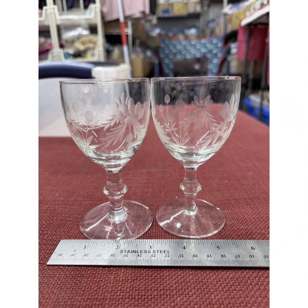 Etched Glass Floral Leef Goblets 6.5